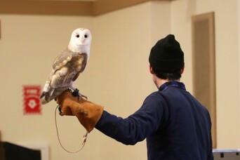 Owel maxwell theater february vacation