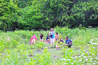 Guests children games field homesite