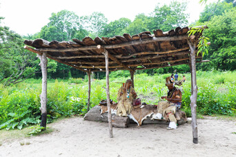 Shade arbor indigenous crafts homesite