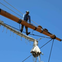 Mayflower crew mast sail