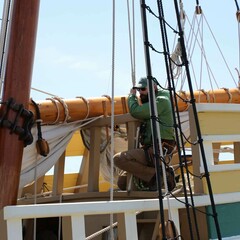 Mayflower work plymouth