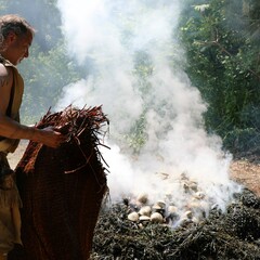 Indigenous Educator dressed in regalia covers a traditional clambake with water soaked mats.