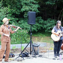Summer music series kim moberg performing