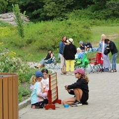 Summer music series the groovalottos connect four kids